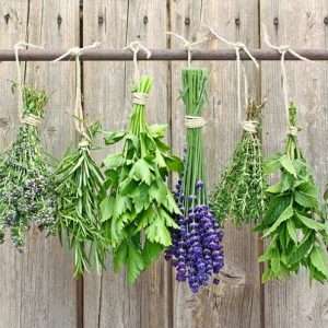 Méregtelenítő gyógynövények