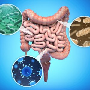 Kontaminalt Vékonybél Szindróma